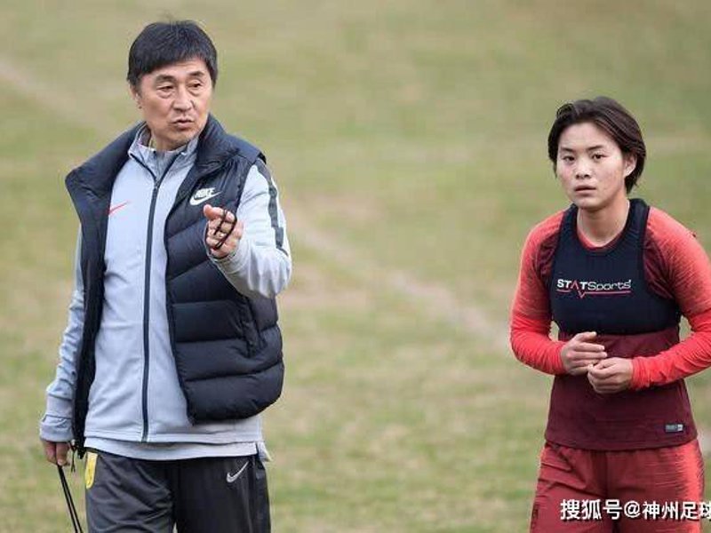 网站概况